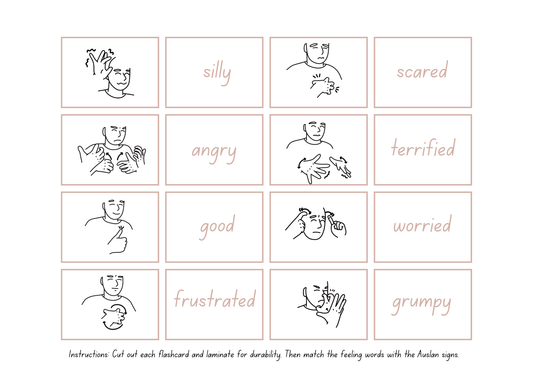 Auslan Emotions Mix & Match Activity